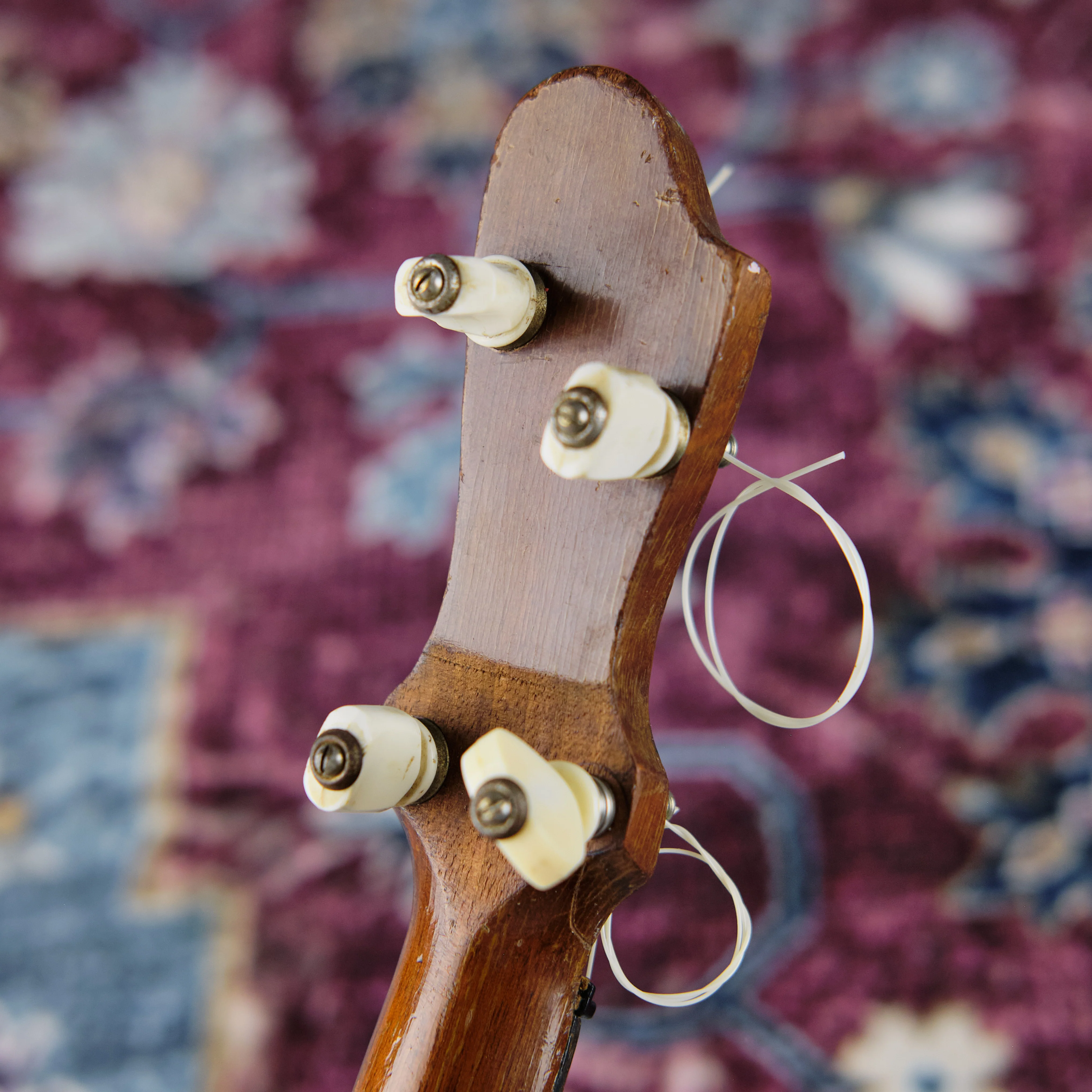 c1920s John Grey & Sons Banjolele - Image 5