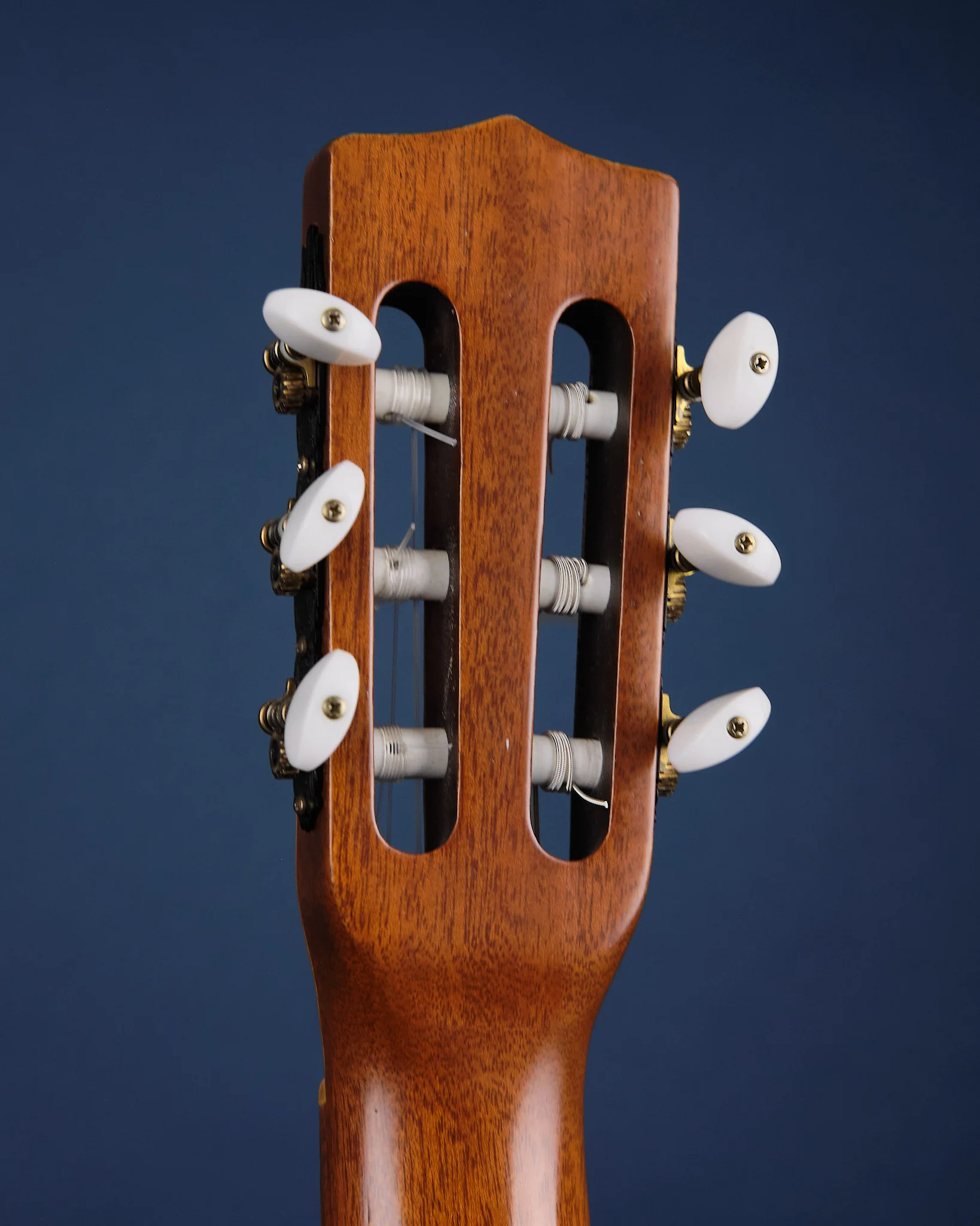Godin LaPatrie Collection Cedar (Second-Hand) - Image 7